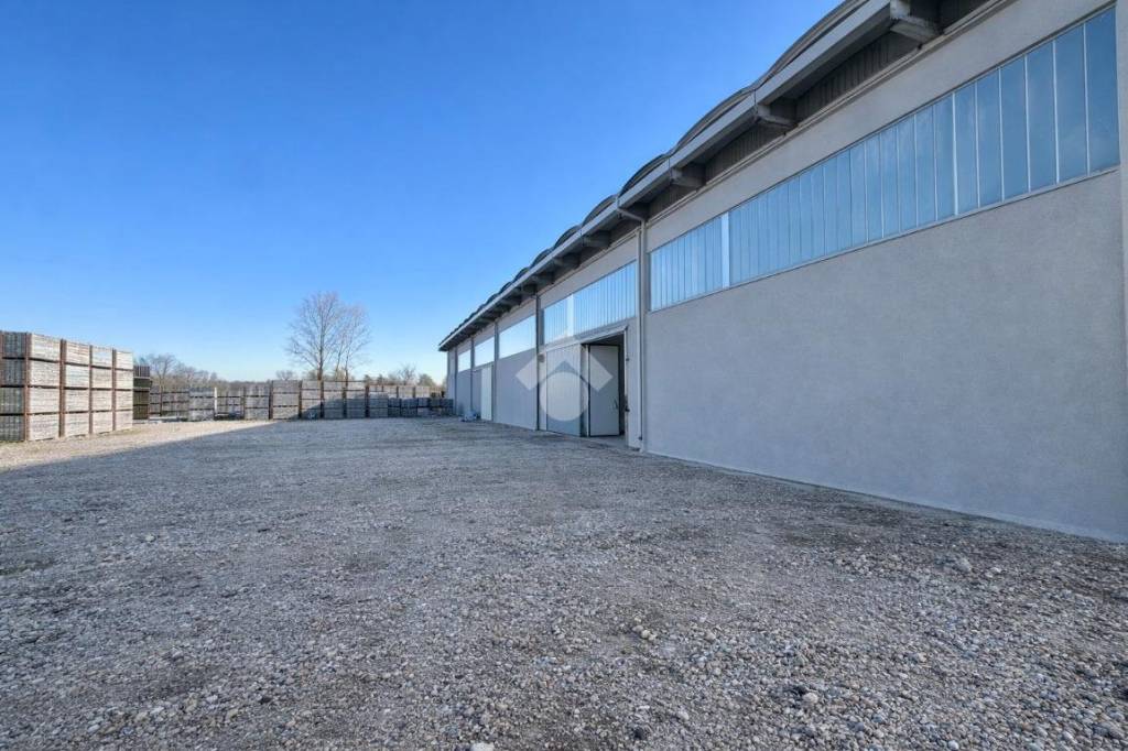 immagine annuncio 1 di 13