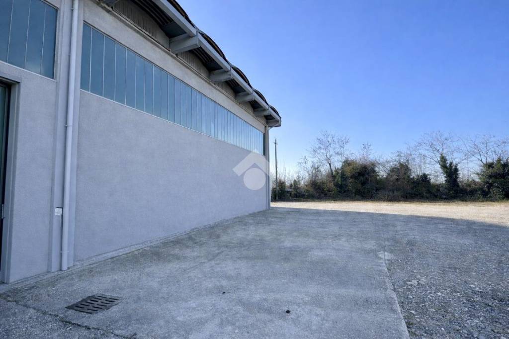 immagine annuncio 5 di 13