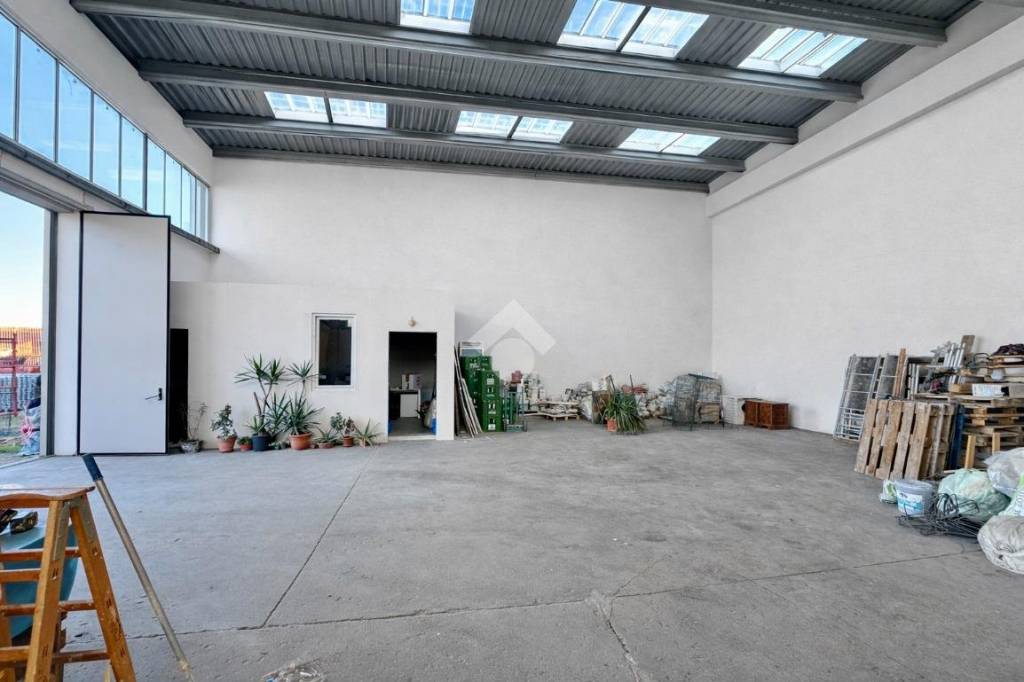 immagine annuncio 6 di 13