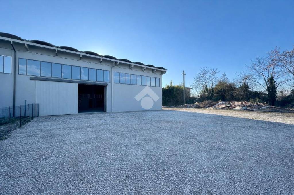 immagine annuncio 9 di 13