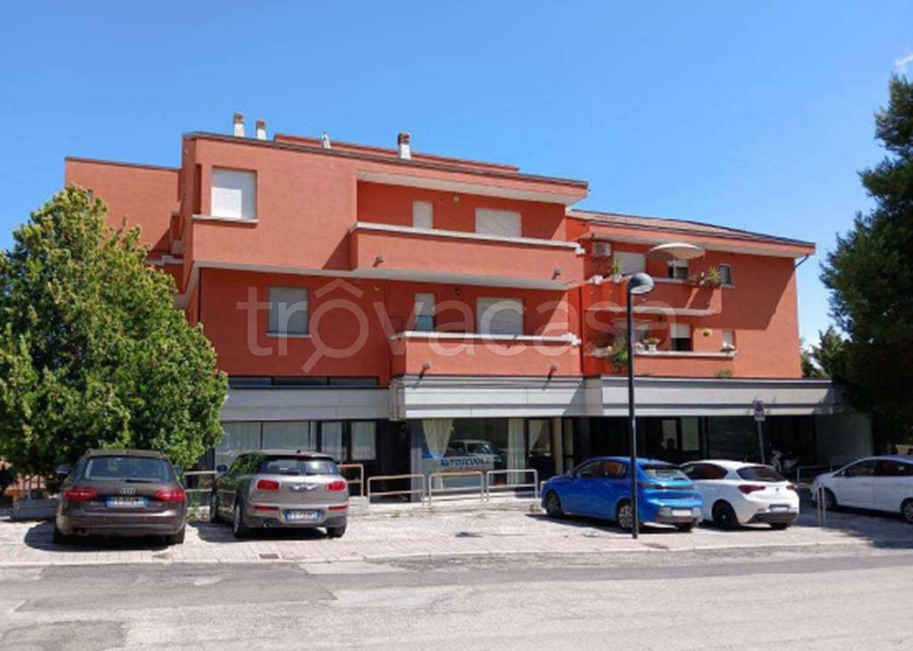 immagine annuncio 7 di 11