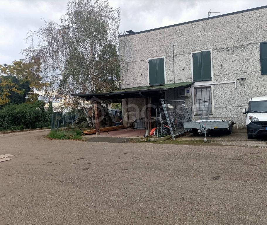 immagine annuncio 14 di 15