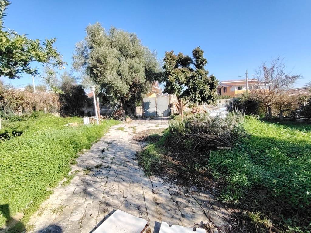 immagine annuncio 6 di 13