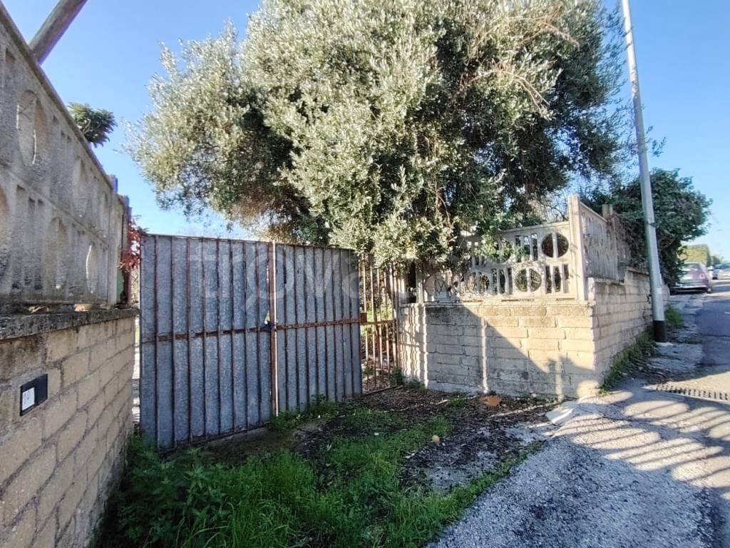 immagine annuncio 11 di 13