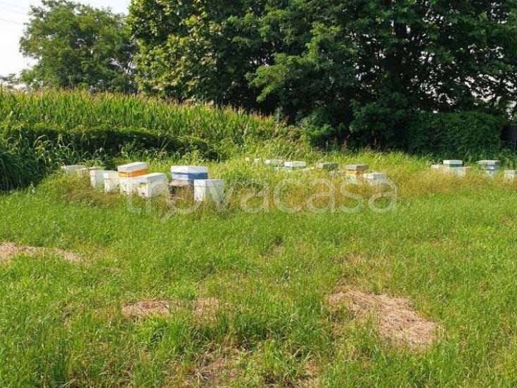 immagine annuncio 4 di 14