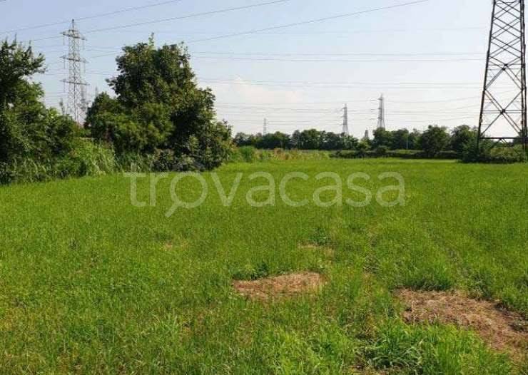 immagine annuncio 7 di 14