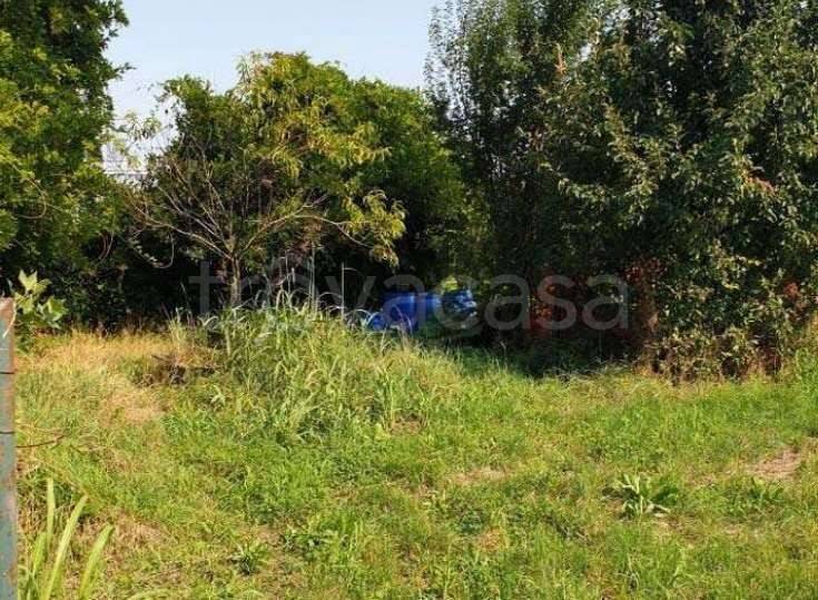 immagine annuncio 8 di 14