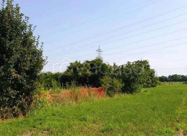 immagine annuncio 9 di 14