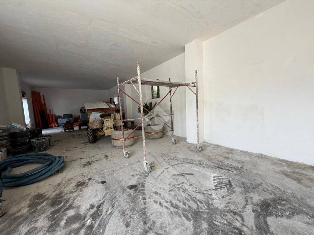 immagine annuncio 6 di 14