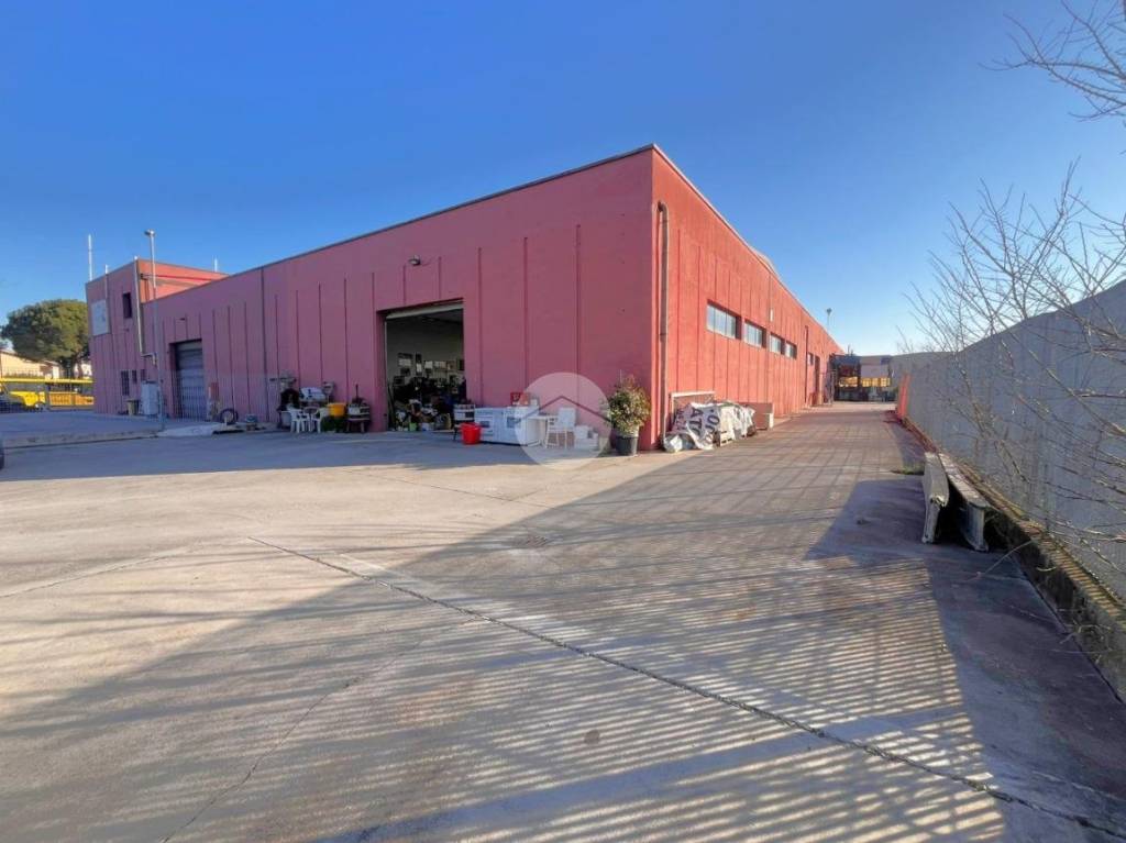 immagine annuncio 10 di 15