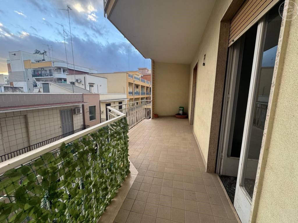 immagine annuncio 4 di 12