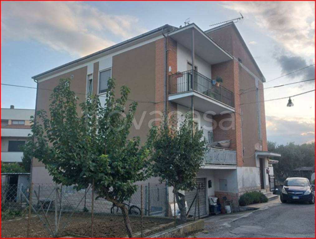 immagine annuncio 1 di 12