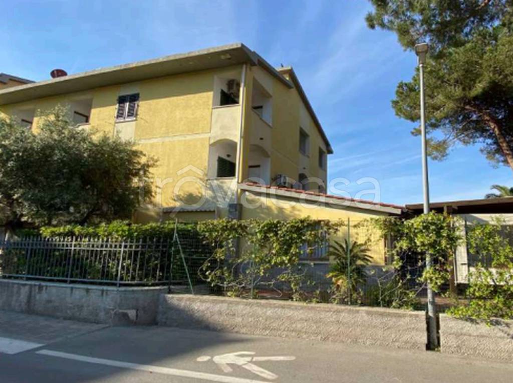 immagine annuncio 3 di 11