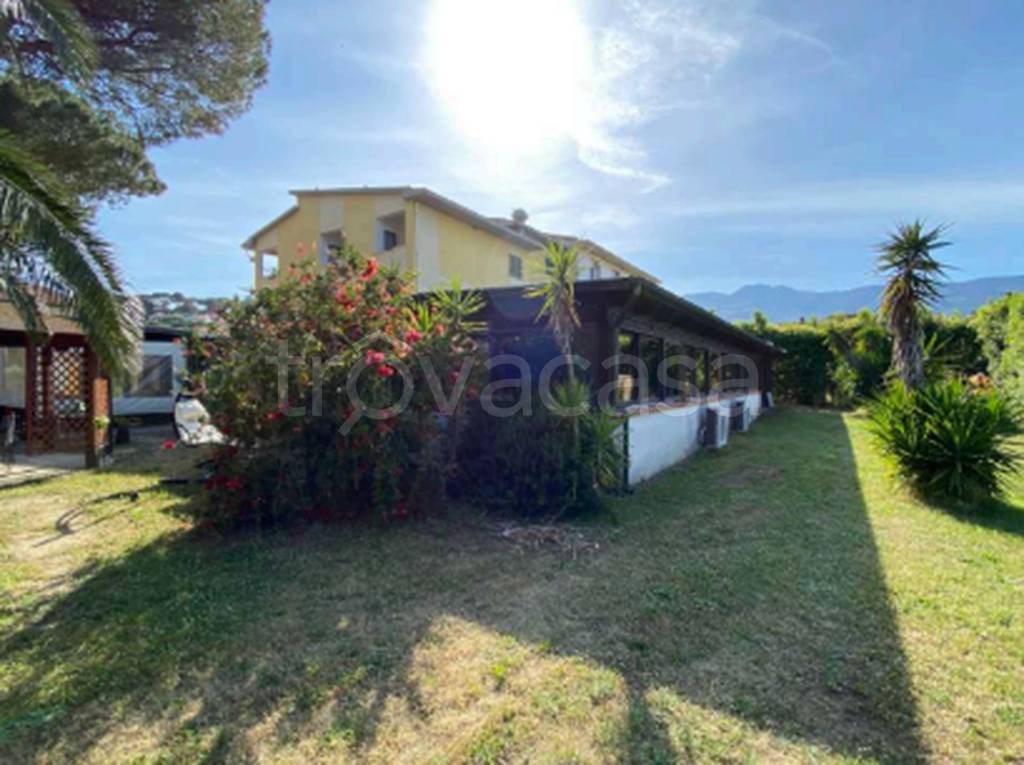 immagine annuncio 6 di 11