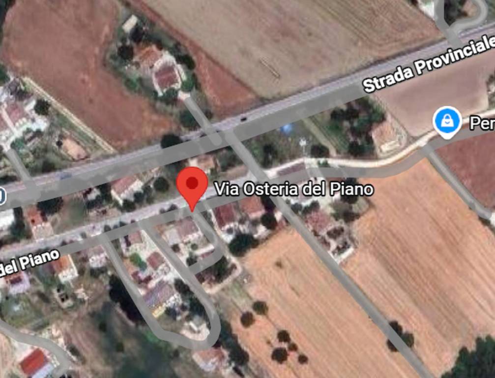 immagine annuncio 12 di 13