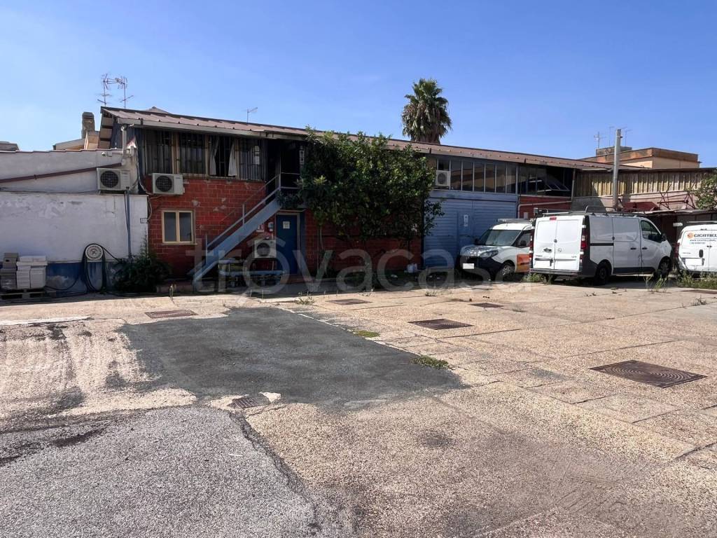 immagine annuncio 2 di 11