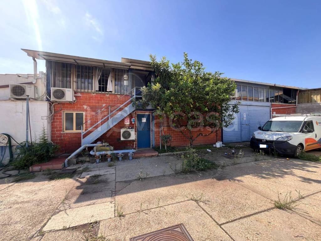 immagine annuncio 3 di 11