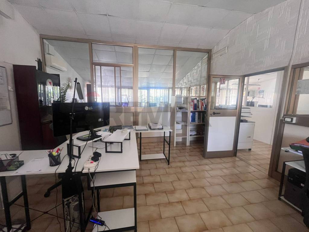 immagine annuncio 4 di 11