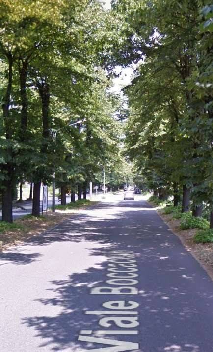 immagine annuncio 10 di 12