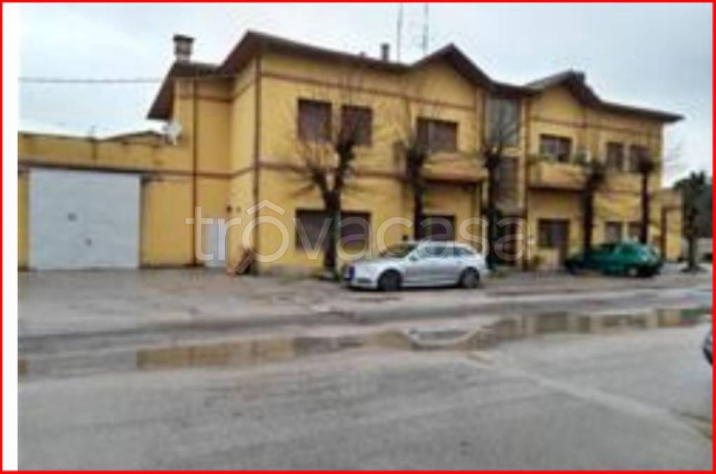 immagine annuncio 1 di 12