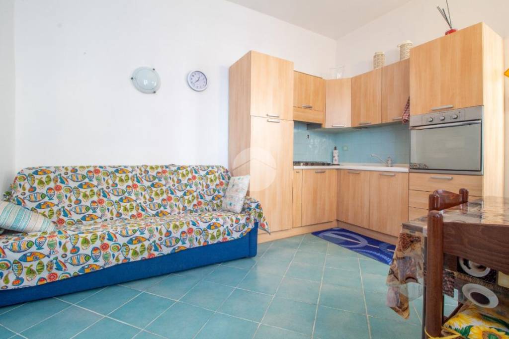 immagine annuncio 4 di 14