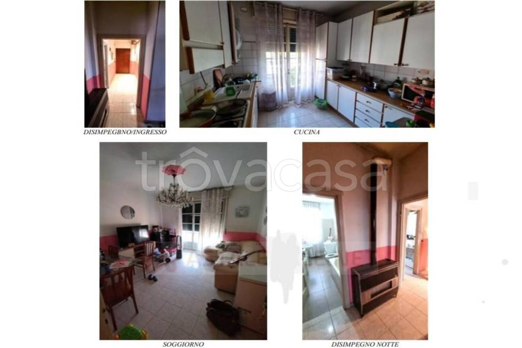 immagine annuncio 1 di 13