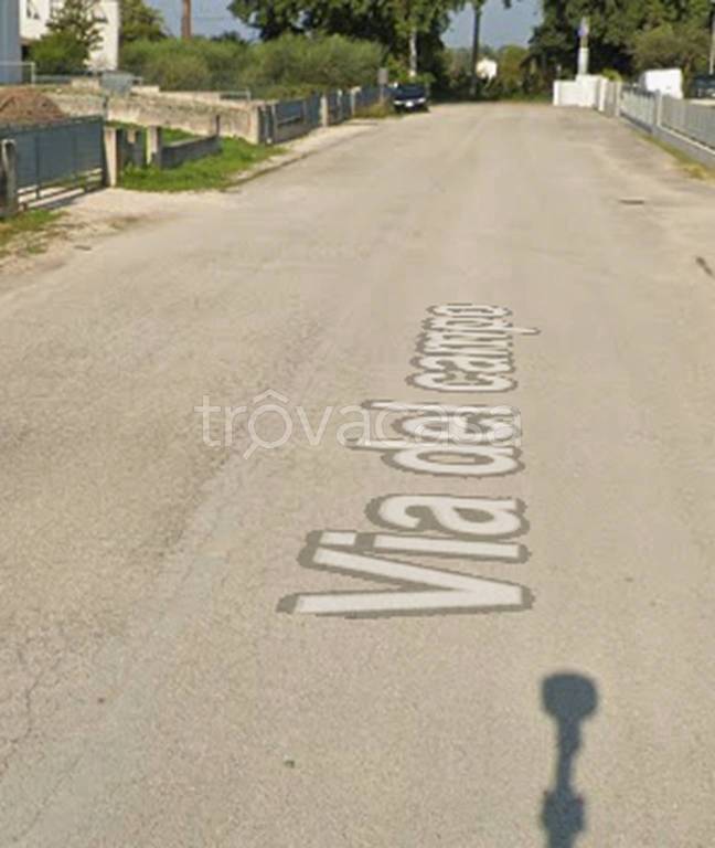 immagine annuncio 3 di 12