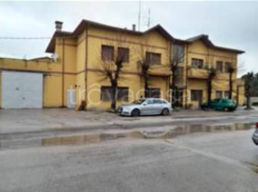 immagine annuncio 8 di 12