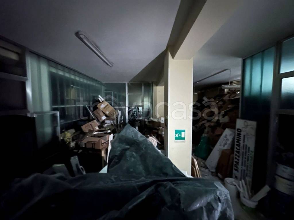 immagine annuncio 4 di 9