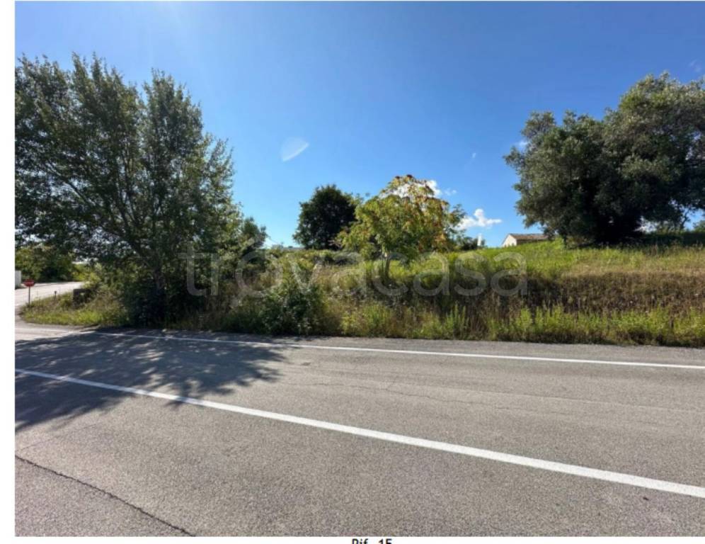 immagine annuncio 6 di 9