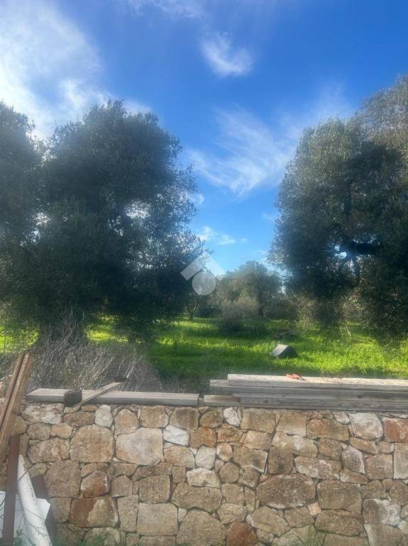 immagine annuncio 4 di 8