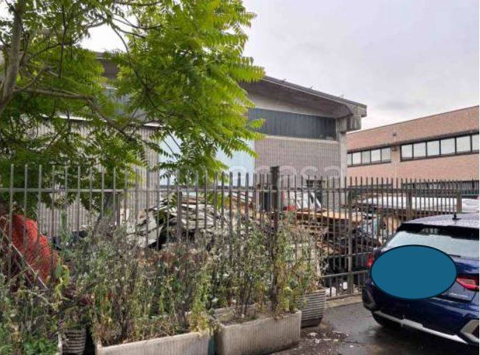 immagine annuncio 1 di 10