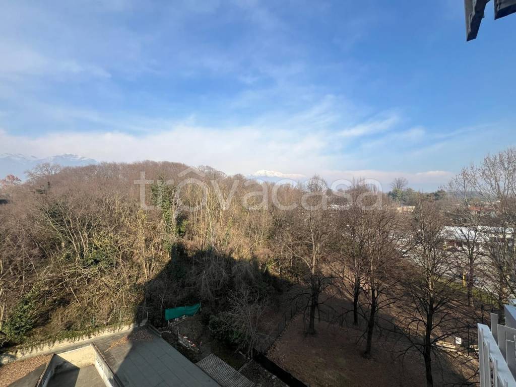 immagine annuncio 12 di 13