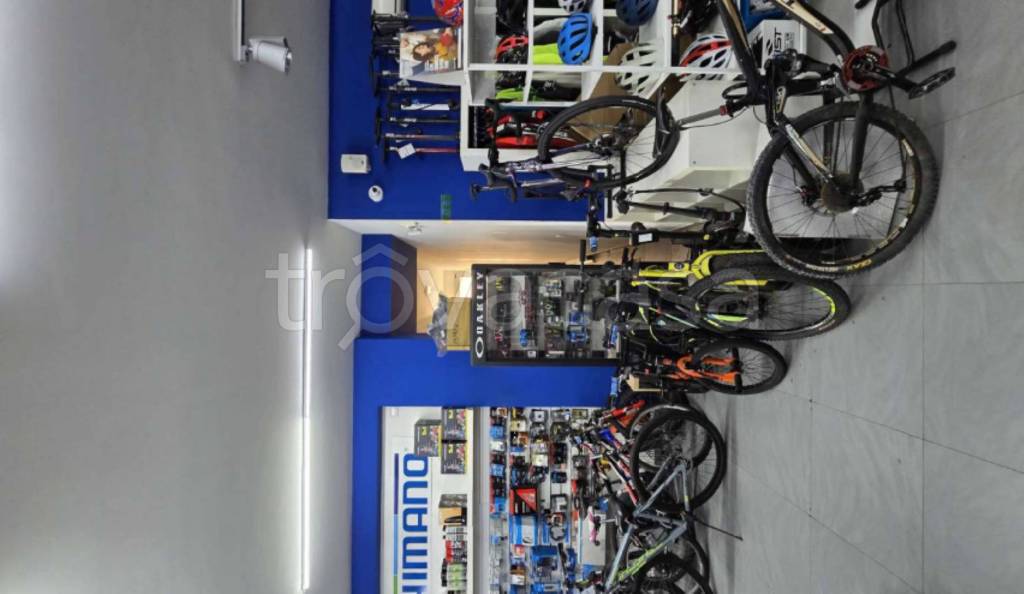 immagine annuncio 5 di 11