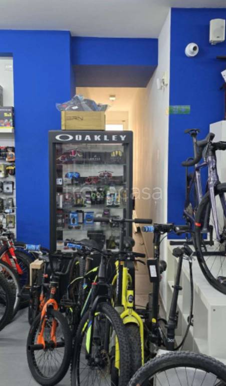 immagine annuncio 6 di 11