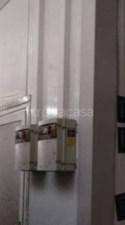 immagine annuncio 7 di 8