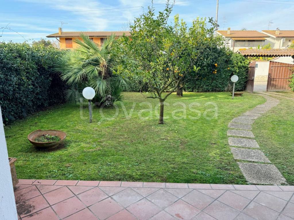 immagine annuncio 3 di 9