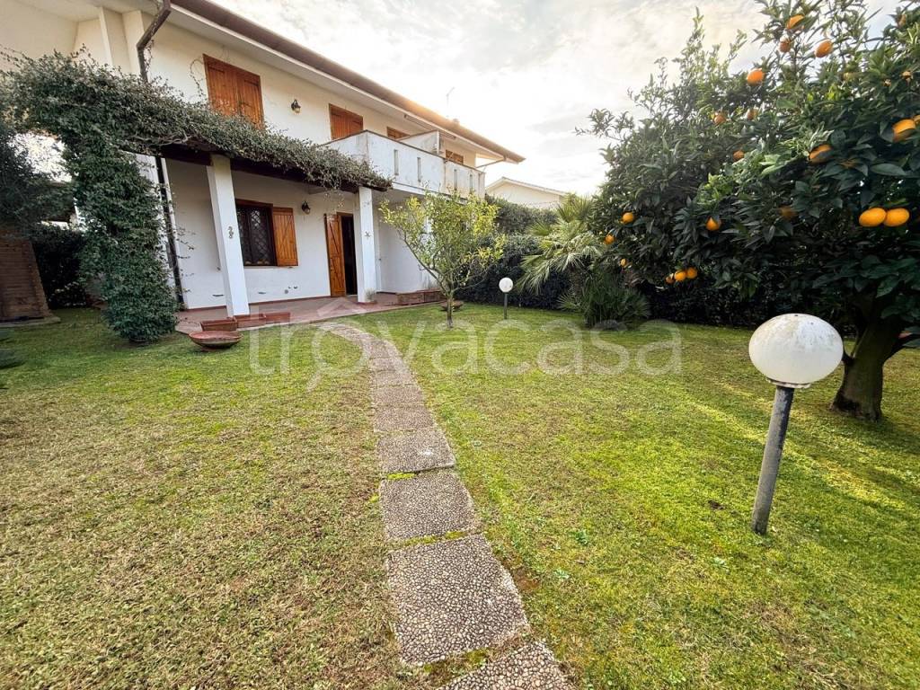 immagine annuncio 1 di 9