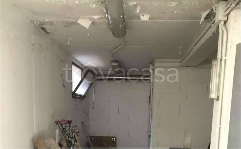 immagine annuncio 5 di 8