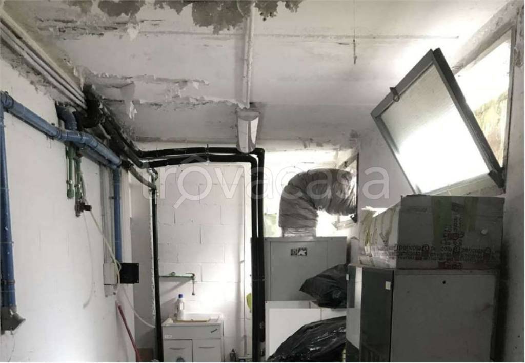 immagine annuncio 7 di 8