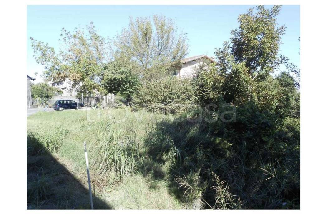 immagine annuncio 5 di 7