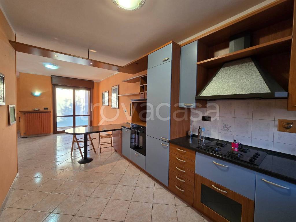 immagine annuncio 9 di 15