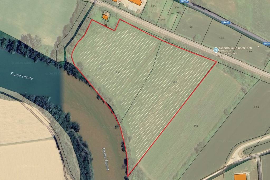 immagine annuncio 1 di 3