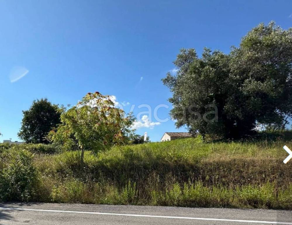 immagine annuncio 4 di 12