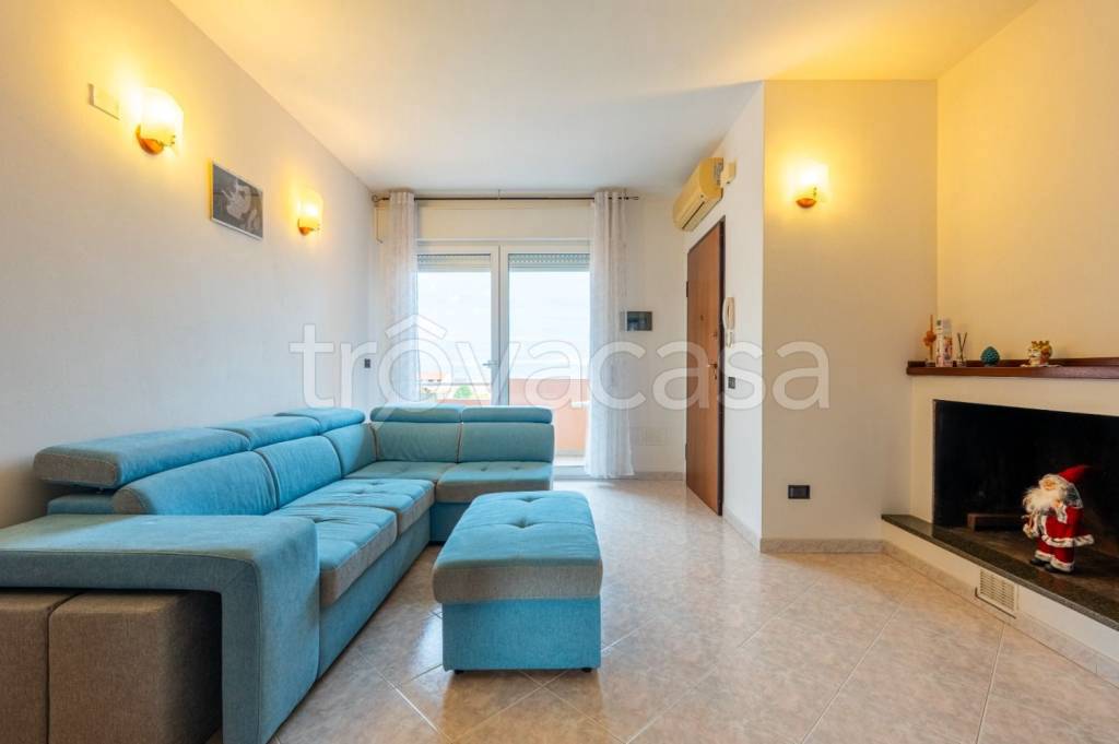 immagine annuncio 9 di 15