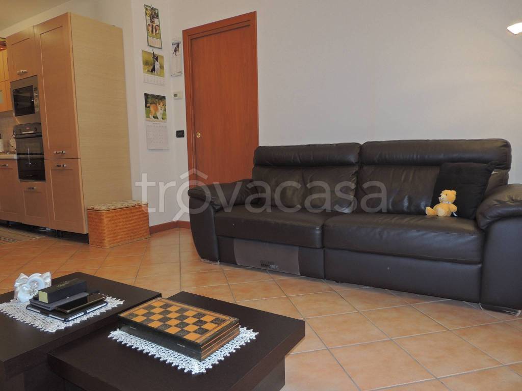 immagine annuncio 7 di 15