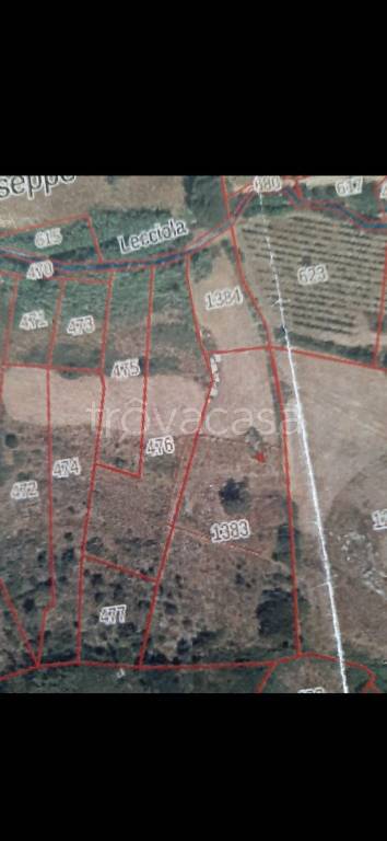 immagine annuncio 3 di 11