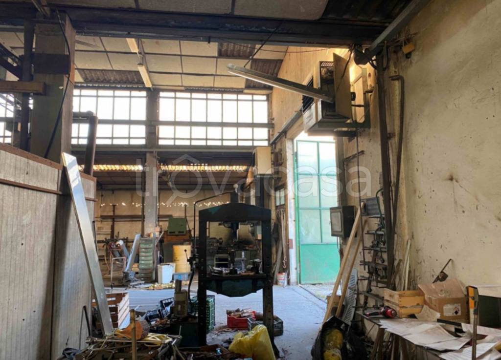 immagine annuncio 12 di 13