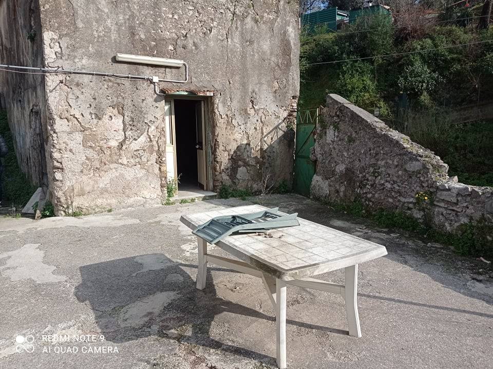 immagine annuncio 1 di 8