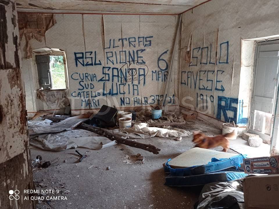 immagine annuncio 7 di 8